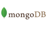 Mongo DB